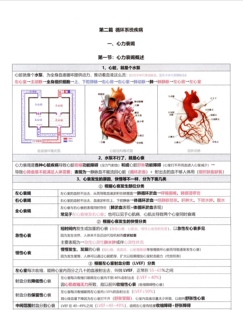 执业医师表格笔记 手写笔记手绘笔记，助理通用！彩色500页！