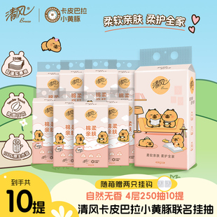 挂抽纸巾整箱家用厕纸卫生纸抽 u先 清风卡皮巴拉抽纸悬挂式