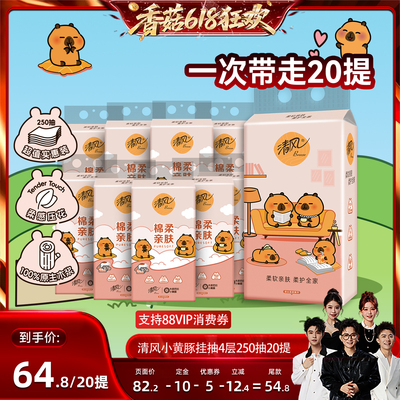 【先加购！香菇618】清风棉柔系列卡皮巴拉悬挂抽纸4层250抽20提