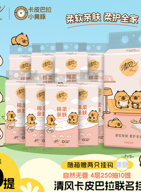 【李昀锐同款】清风抽纸悬挂式纸巾250抽10提家用整箱卫生纸抽by