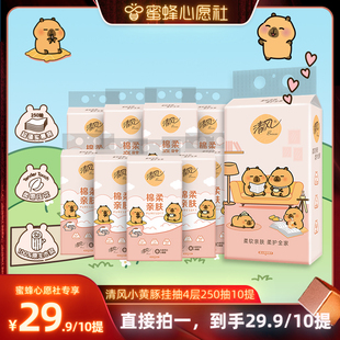 【蜜蜂心愿社】清风卡皮巴拉悬挂式抽纸4层250抽10提家用餐巾纸