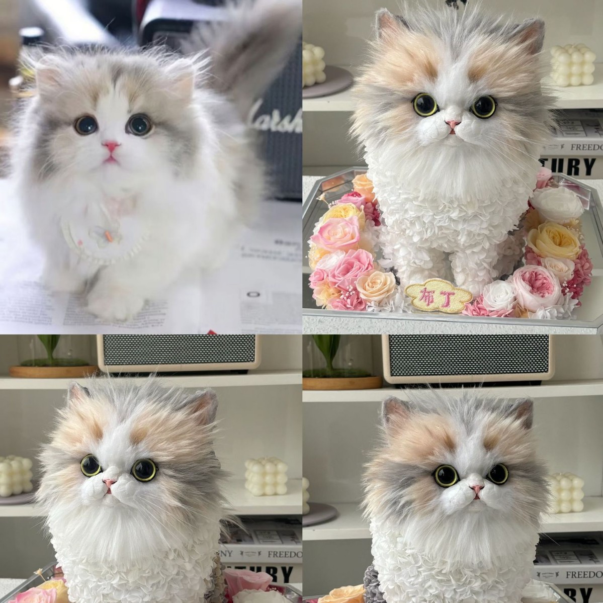 永生花玩偶摆件爱宠人偶可爱送女友闺蜜老婆生日节日礼物新年礼品