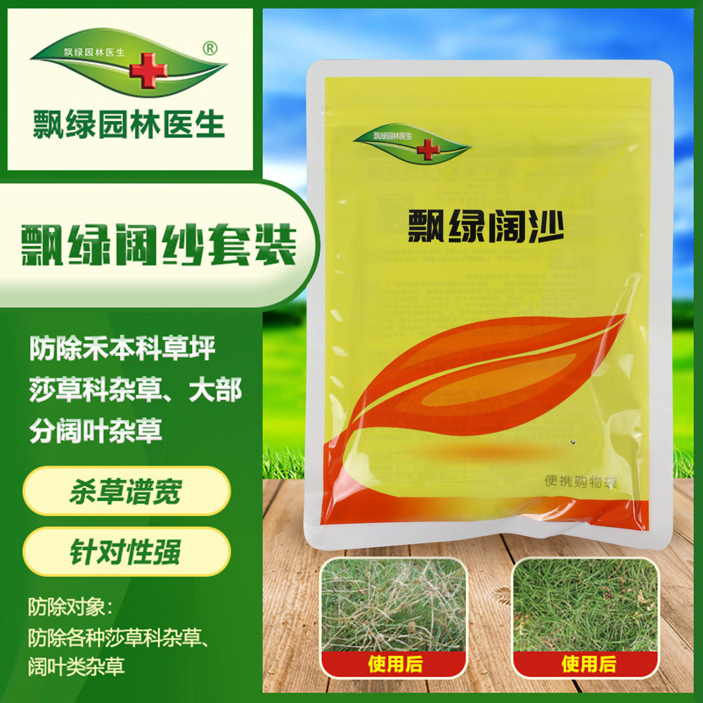 飘绿阔纱 莎禾本科草坪阔叶圆叶园林绿化飘绿园林医生