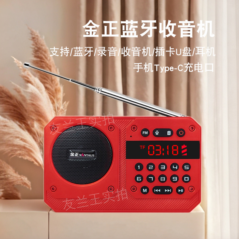 金正FM便携插卡播放器