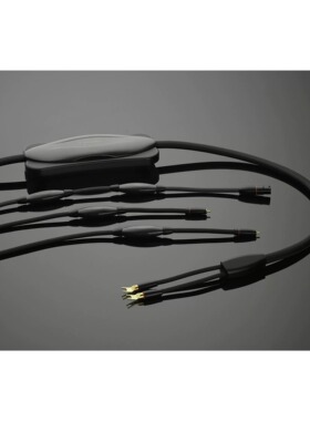 TRANSPARENT天仙配Hardwired入门系列 Speaker 喇叭线
