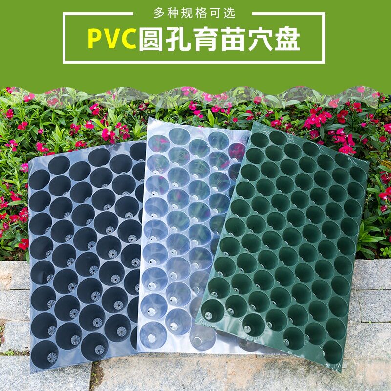 穴盘种植育苗盘塑料哈密瓜育苗盘