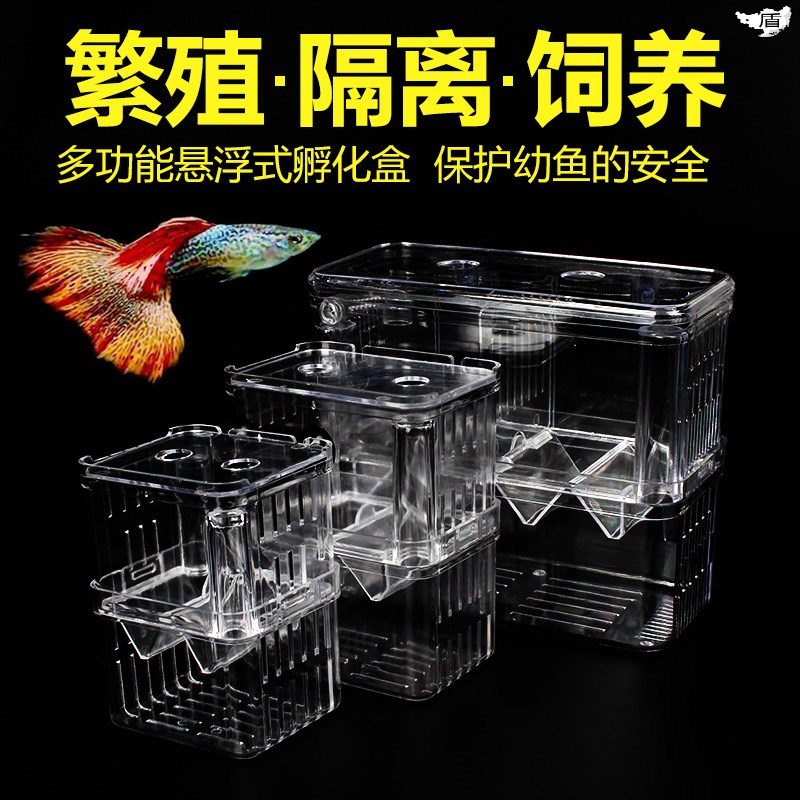 水泵鱼缸隔离仓大鱼金鱼水草大小清理分隔板过滤板孔雀鱼产卵器