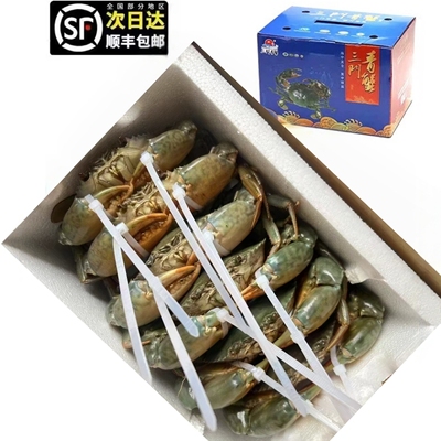 三门青蟹鲜活水产海鲜特大螃蟹公蟹母蟹肉蟹蝤蠓蟹2斤3-5只礼盒装