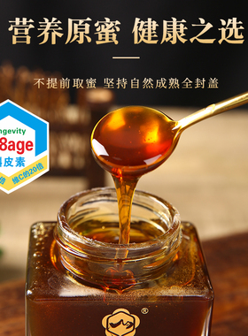 新疆伊犁黑蜂蜜43+成熟蜜农家纯正天然野生土蜂百花蜜2斤PK麦卢卡