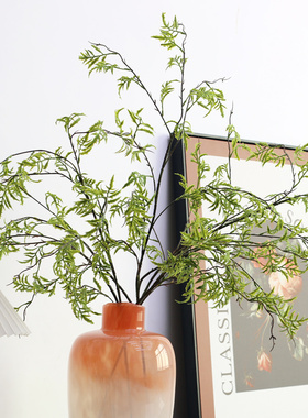 仿真海金沙植物叶子仿真柳枝波斯叶软装花材仿真蕨草软胶蕨叶长杆