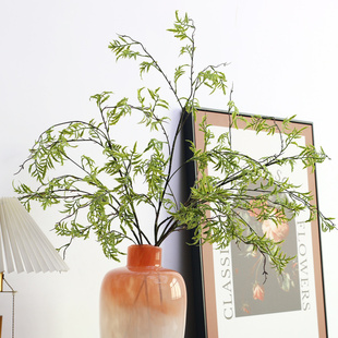 仿真海金沙植物叶子仿真柳枝波斯叶软装花材仿真蕨草软胶蕨叶长杆