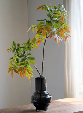 仿真漆木叶紫藤叶香椿树叶新中式家居装饰软装工程橱窗造景假树枝