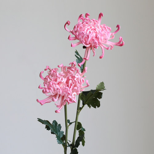 国风新中式高仿真手感皇菊花万寿菊皇菊高级假花插花软装拍摄道具
