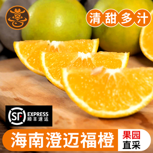 海南特产澄迈福橙橙新鲜孕妇水果精品礼盒装大果果园直发顺丰