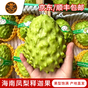 海南三亚产大目牛奶凤梨释迦果新鲜水果中秋 送礼礼盒装顺丰