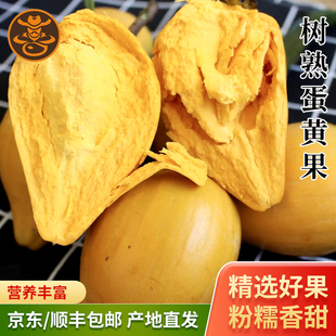 海南三亚特产罕见鸡蛋果水果礼盒装大果新鲜水果蛋黄果顺丰包邮