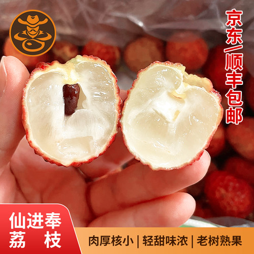正宗新鲜仙进奉荔枝5斤顺丰包邮