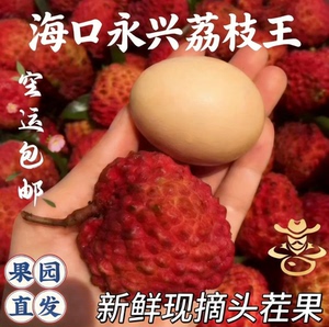 鲜甜多汁火山口荔枝王