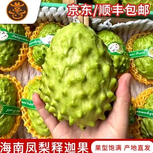 海南三亚产大目牛奶凤梨释迦果新鲜水果礼盒装送礼顺丰大果