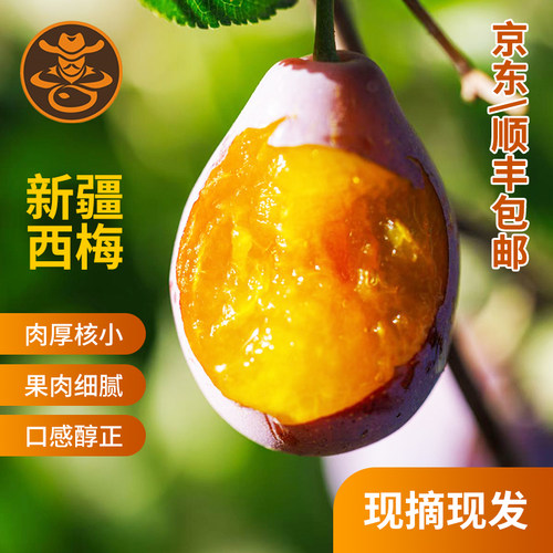 新疆当季鲜采法兰西西梅整箱