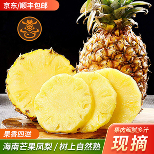 海南芒果凤梨23号芒果香凤梨新鲜水果小菠萝孕妇水果顺丰