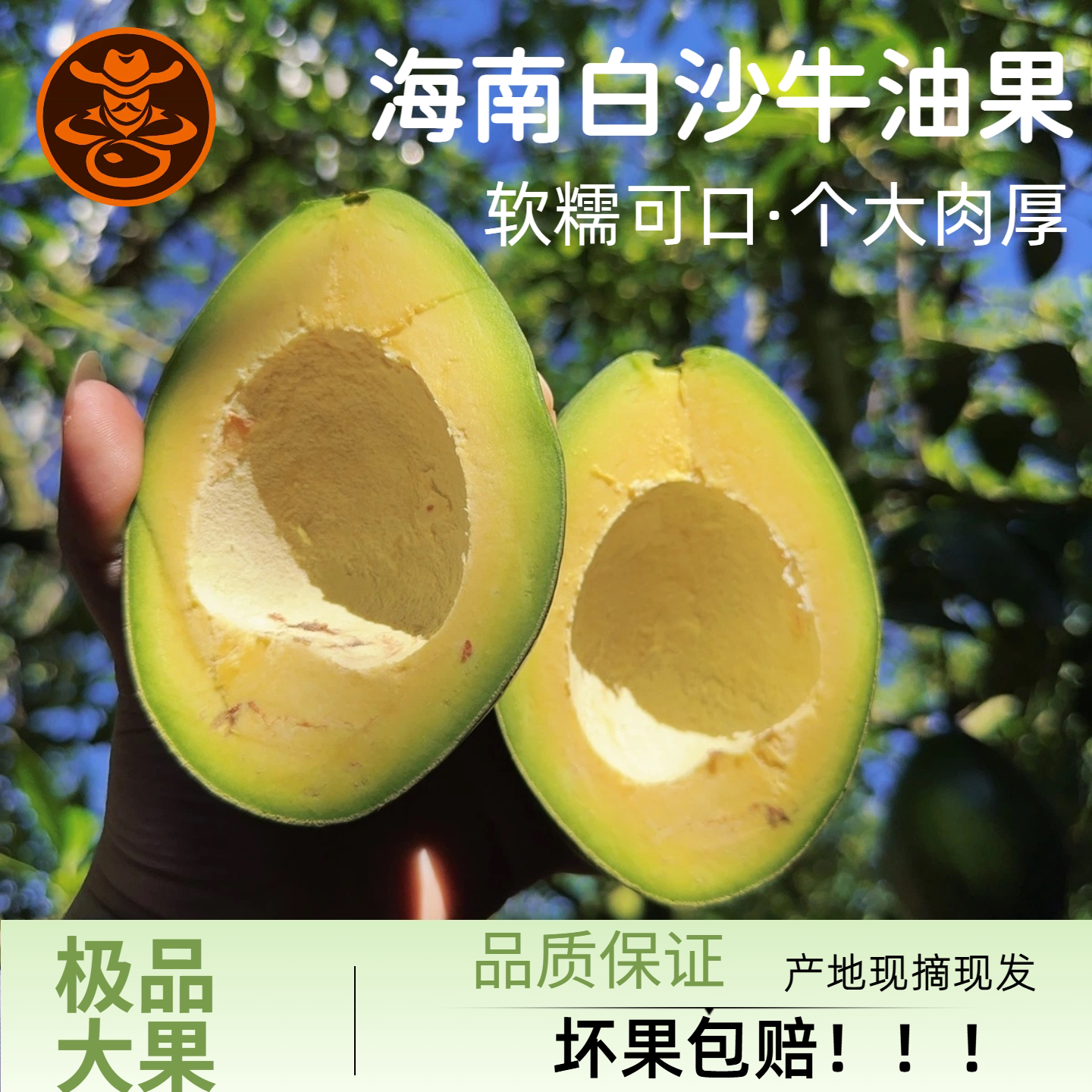 海南白沙牛油果桂颜粉糯特大果