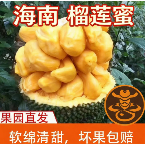 海南榴莲蜜软糯香甜顺丰包邮