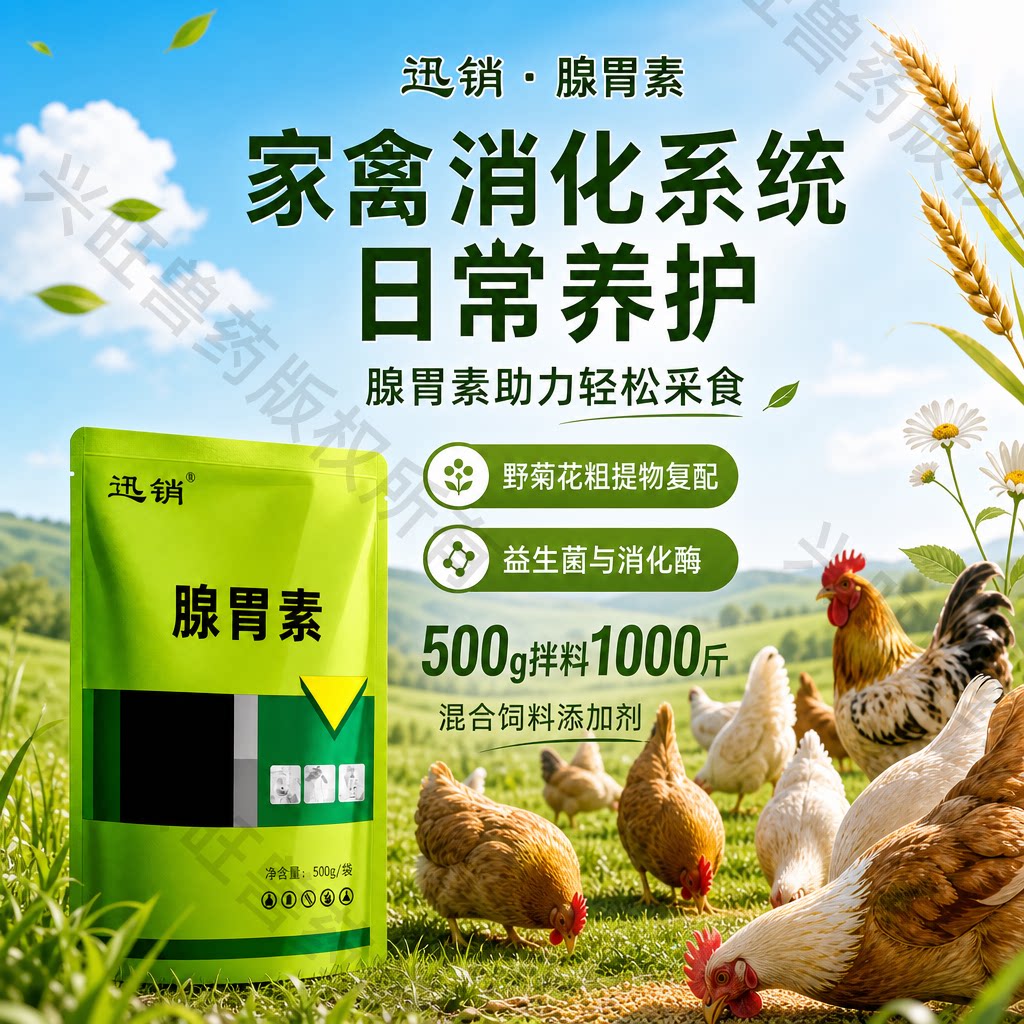迅销【腺胃素】胃炎禽药兽用鸡鸭鹅鸽肌胃炎腺肌天然植物