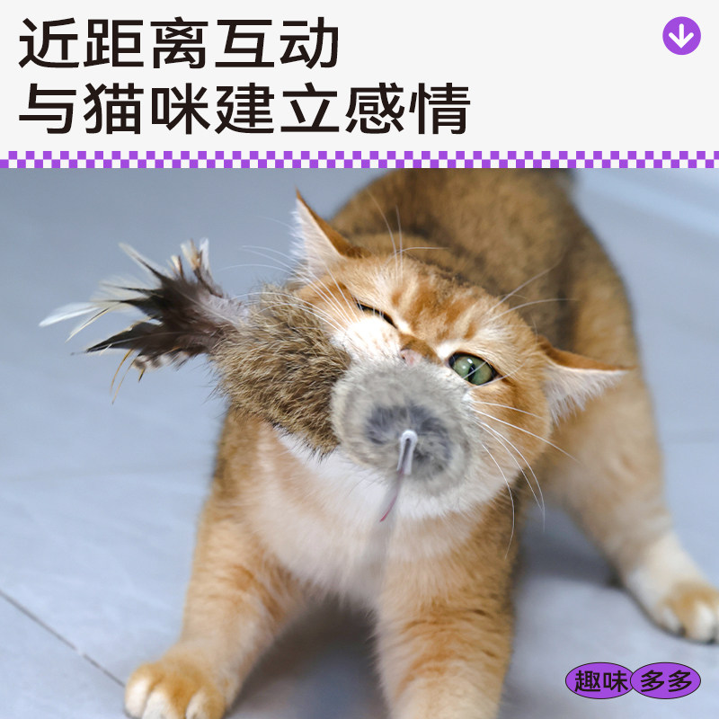 QMONSTER真皮绳羽毛逗猫棒解闷图片
