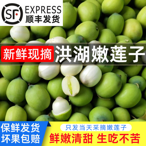洪湖新鲜嫩莲子米生吃清甜现摘