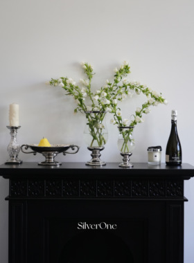 SilverOne高级玻璃陶瓷花瓶创意多用家居装饰品防风烛台观赏鱼缸