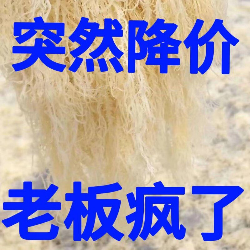 干到扎手龙须菜凉拌菜麒麟菜干货