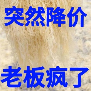 干到扎手龙须菜凉拌菜麒麟菜干货新晒鹿角菜海藻海发菜