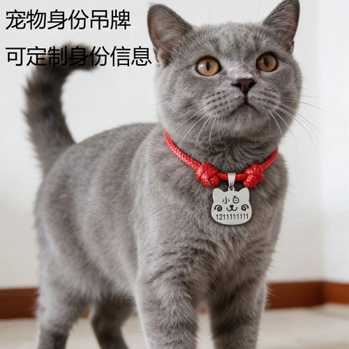 特价激光定制猫狗身份宠物吊牌不锈钢免费刻字幼猫幼犬泰迪蓝猫