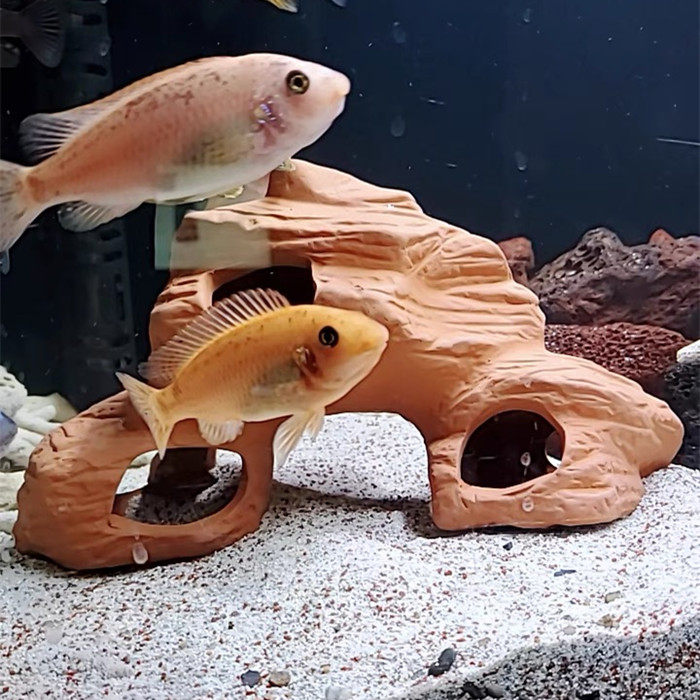 鱼缸造景繁殖罐鲷罐陶瓷鱼虾屋摆件装饰迷你鹦鹉鱼虾躲避罐繁殖窝