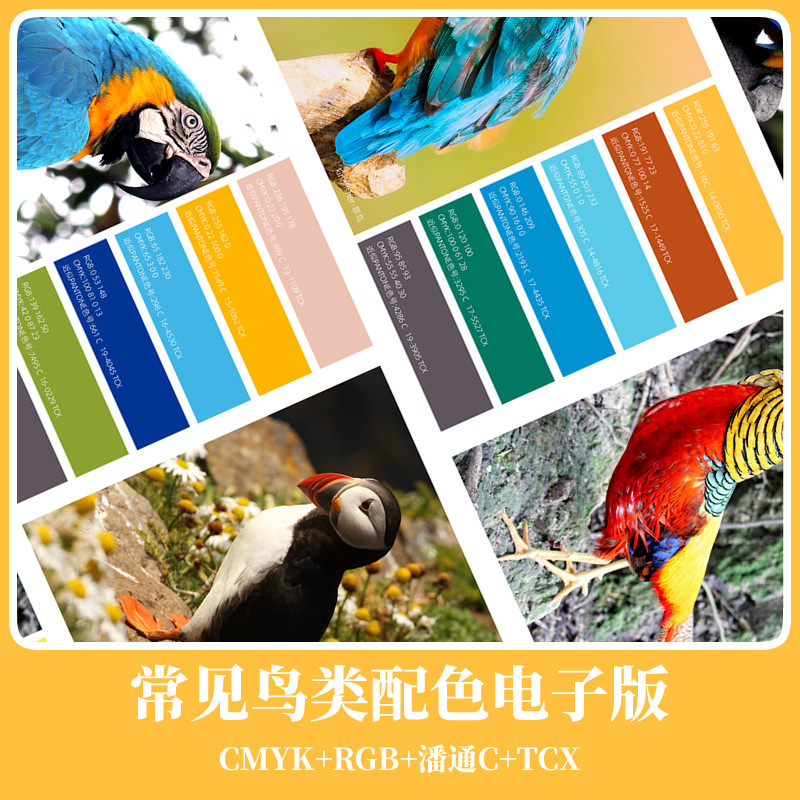 原创鸟类配色素材色彩搭配色卡psd电子版图片源文件cmyk潘通c参考