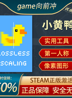 小黄鸭 Lossless Scaling 第一人称 Steam正版 补帧神器无损缩放