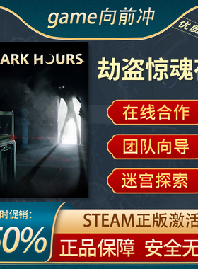 劫盗惊魂夜 Dark Hours 在线合作 生存恐怖 Steam正版PC 游戏代购