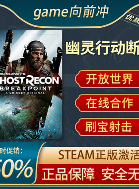 幽灵行动断点 Tom Clancy's Ghost Recon STEAM正版 PC中文