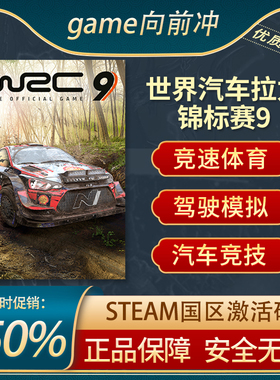 世界汽车拉力锦标赛9 WRC 9 FIA World STEAM正版PC中文 国区key