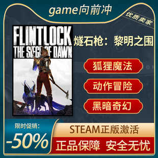 燧石枪:黎明之围 Flintlock: The Siege of Dawn 动作 steam正版