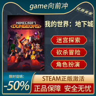 角色扮演Steam正版 我 Dungeons Minecraft 中文PC 世界：地下城
