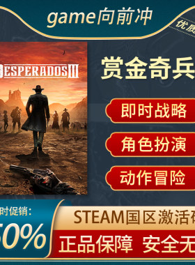 赏金奇兵3STEAM正版激活码
