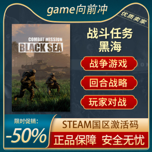 战斗任务 黑海 Combat Mission Black Sea STEAM正版 PC玩家对战