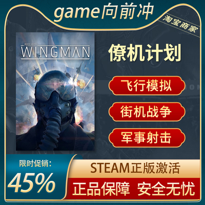 僚机计划Steam正版军事战争