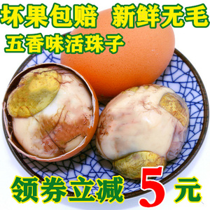 新鲜13天活珠子20只鸡胚蛋即食熟食凤凰蛋钢化蛋毛蛋毛鸡蛋喜蛋