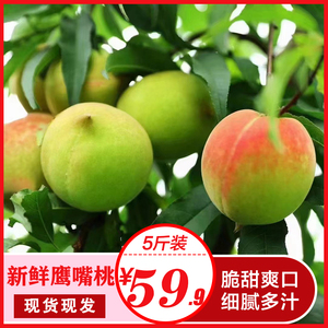 当季脆香桃爽口多汁广东清远