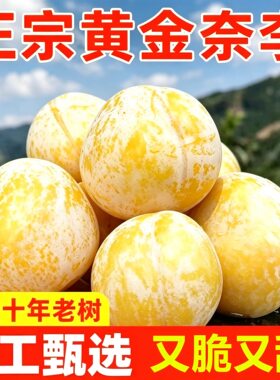 正宗广东连州黄金奈李新鲜水果脆甜冰糖蜂蜜大李子礼盒