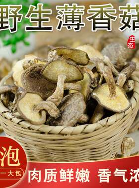 连州特产新鲜农家干薄香菇冬菇树菇蘑菇煲汤馅料干货散装500g