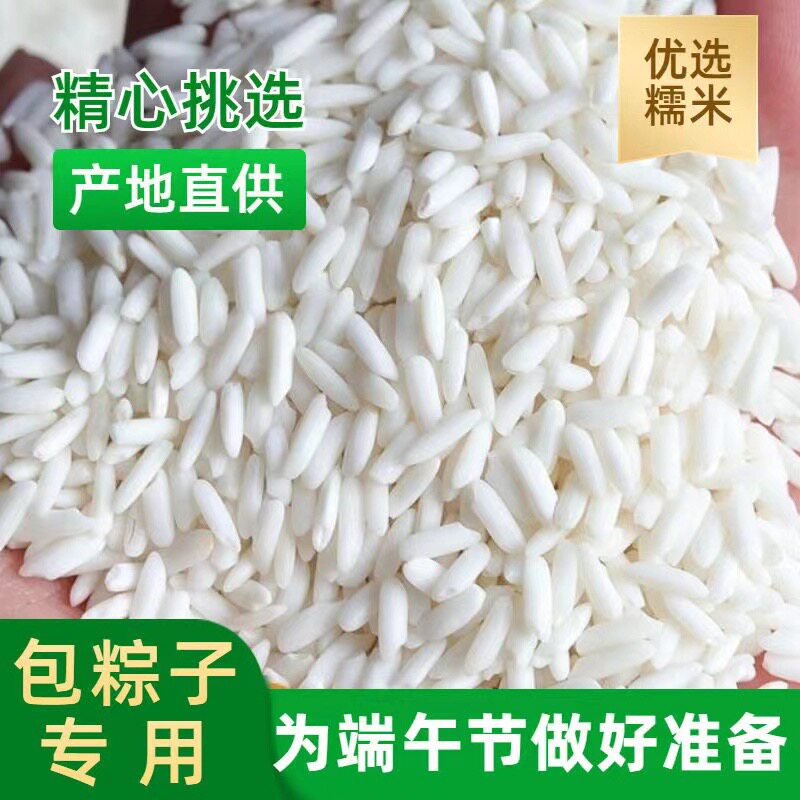 连州特产2025年新米农家长糯米新鲜散装长粒糯米包粽子饭团白糯米